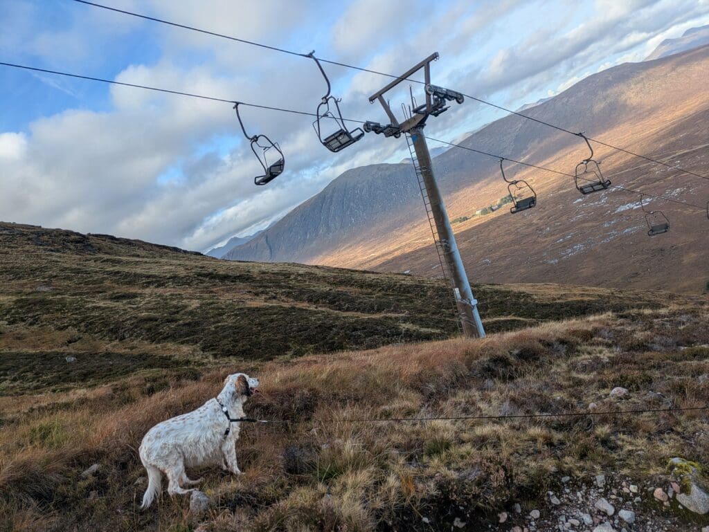 Chien blanc en harnais sur un sentier de montagne, sous une ligne de télésiège avec des sommets au loin et un ciel partiellement nuageux.
