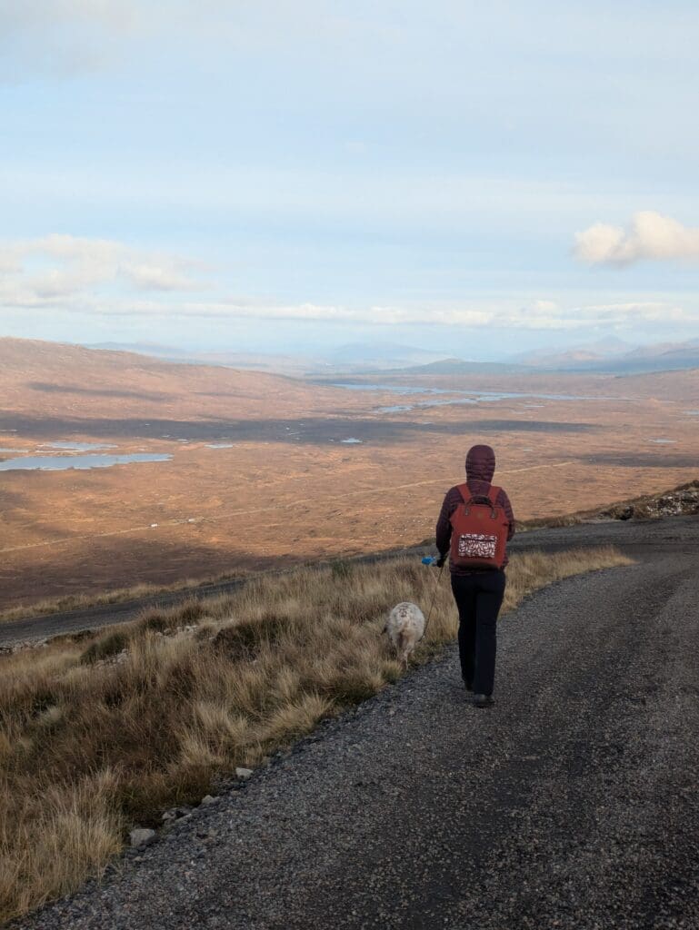 Personne marchant sur une route de montagne avec un sac à dos, un chien à ses côtés, face à une vaste vallée parsemée de lacs sous un ciel clair.