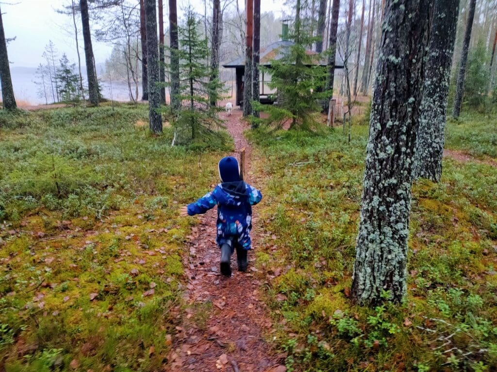 Tom ramasse du bois pour allumer un feu en forêt — apprentissage par le voyage en van