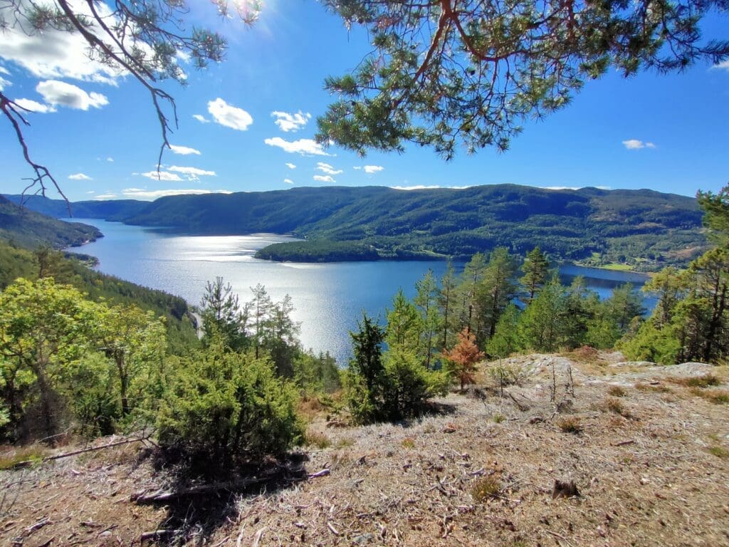 Randonnée au-dessus du lac de Seljord en Norvège du Sud, entre forêt, soleil et panorama sur les montagnes